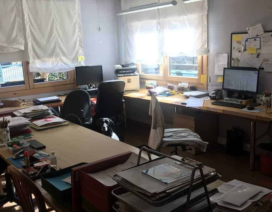 Chalet venta-Massana-Pal-Versus andorra (15)