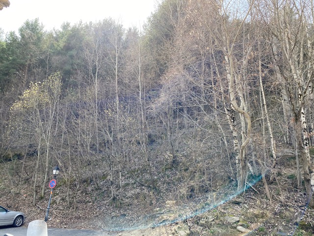 Terreno Urbanizable Sispony Venta Versus Andorra