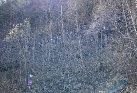 Terreno Urbanizable Sispony Venta Versus Andorra