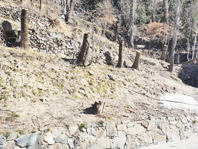 Terreno can diumenge venta versus andorra